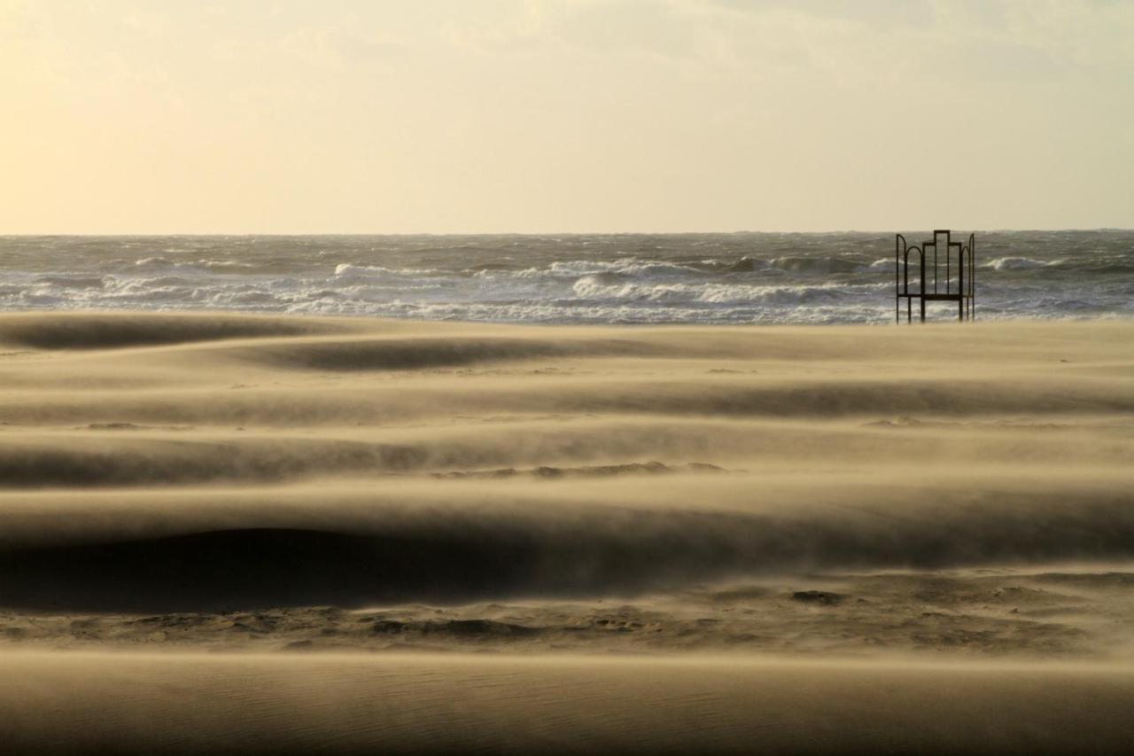 Villa Les Paquerettes Ostende Exteriér fotografie